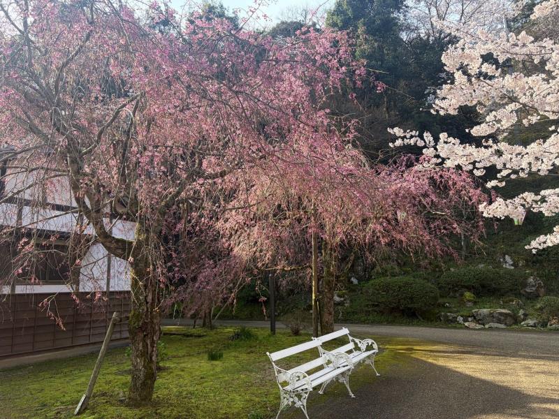 公園内の様子
